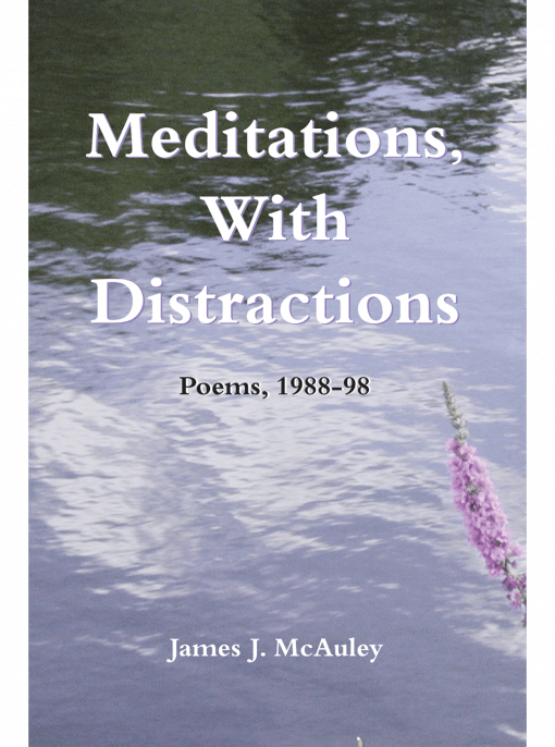 Meditations, With Distractions cover image