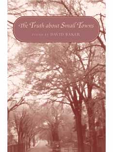 cover image for The Truth about Small Towns by David Baker