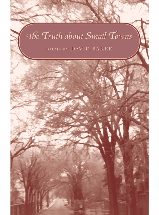 cover image for The Truth about Small Towns by David Baker