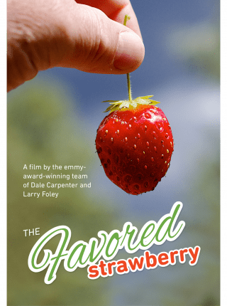 Cover of the DVD of The Favored Strawberry