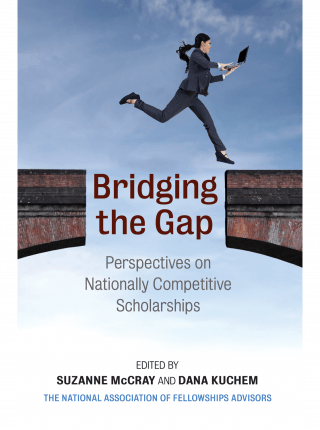 cover of Bridging the Gap