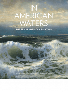 cover image for In American Waters