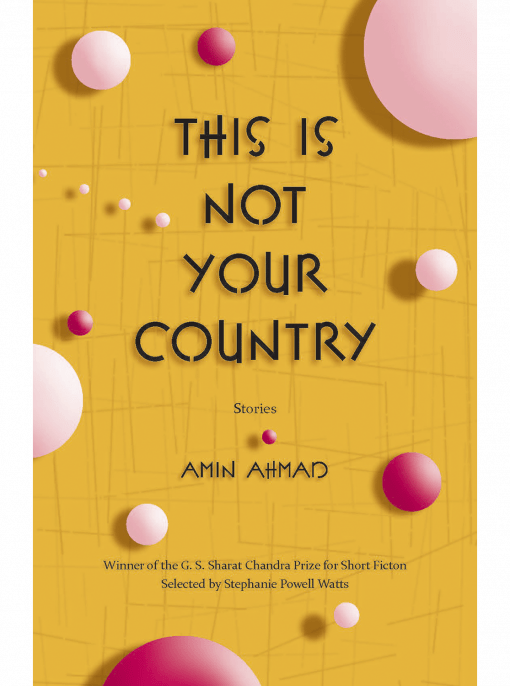 This Is Not Your Country cover image