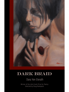 Dark Braid cover image