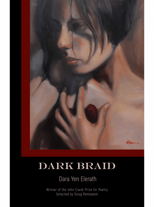 Dark Braid cover image