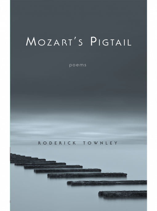 Mozart's Pigtail cover image
