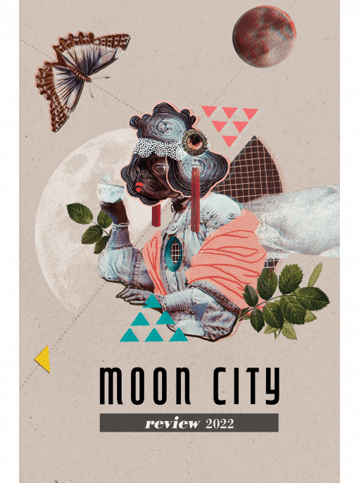 Moon City Review 2022 cover image