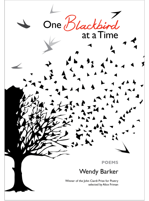 One Blackbird at a Time cover image