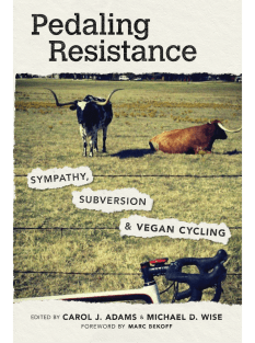 Pedaling Resistance cover image
