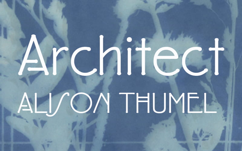 Now Available! Architect by Alison Thumel