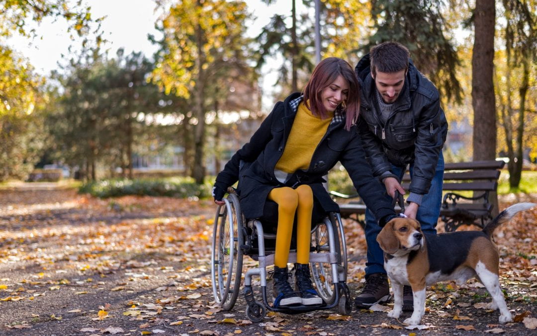 A woman and a man pet a beagle. The woman is a chair user.