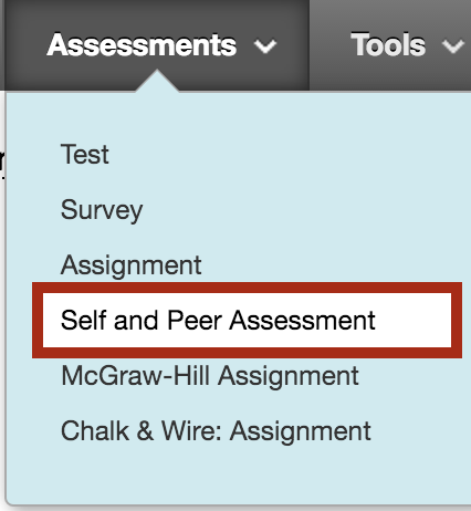 self assessment assignment
